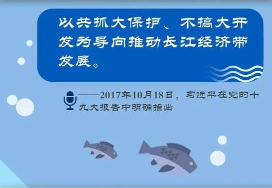 長江大保護 飛燕在行動丨飛燕遙感深度參與長江經濟帶生態(tài)環(huán)境保護